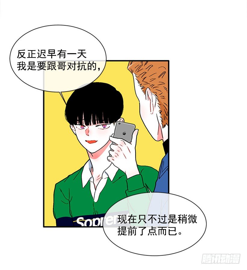 130.家猫和流浪猫