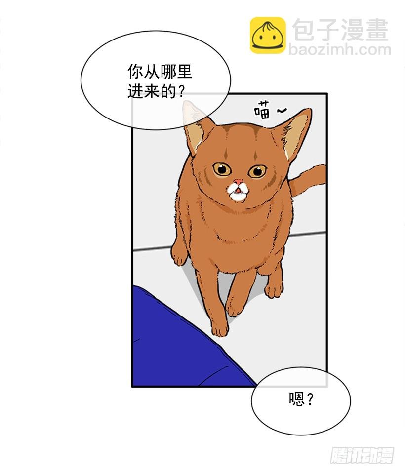 137.大喵