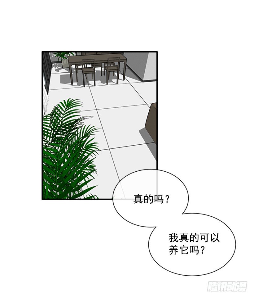 137.大喵