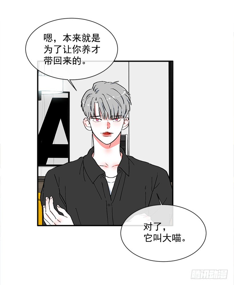 137.大喵