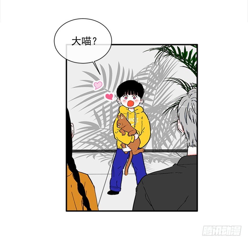 137.大喵