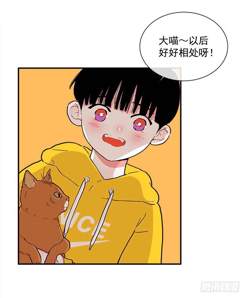 137.大喵