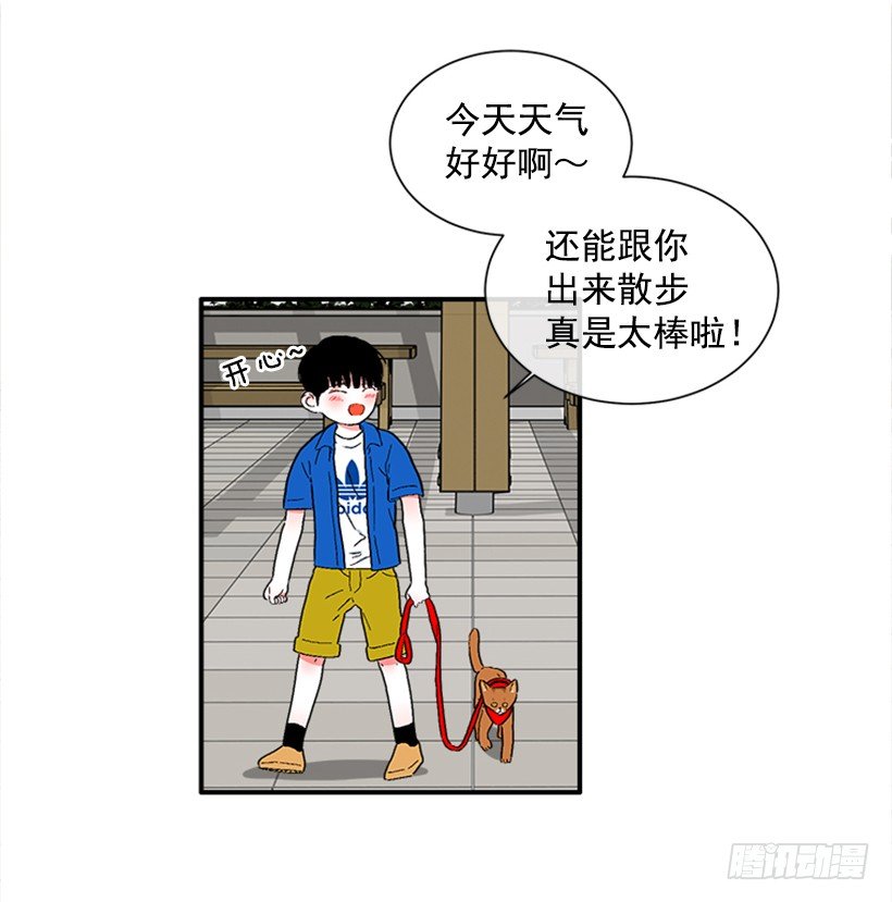 137.大喵