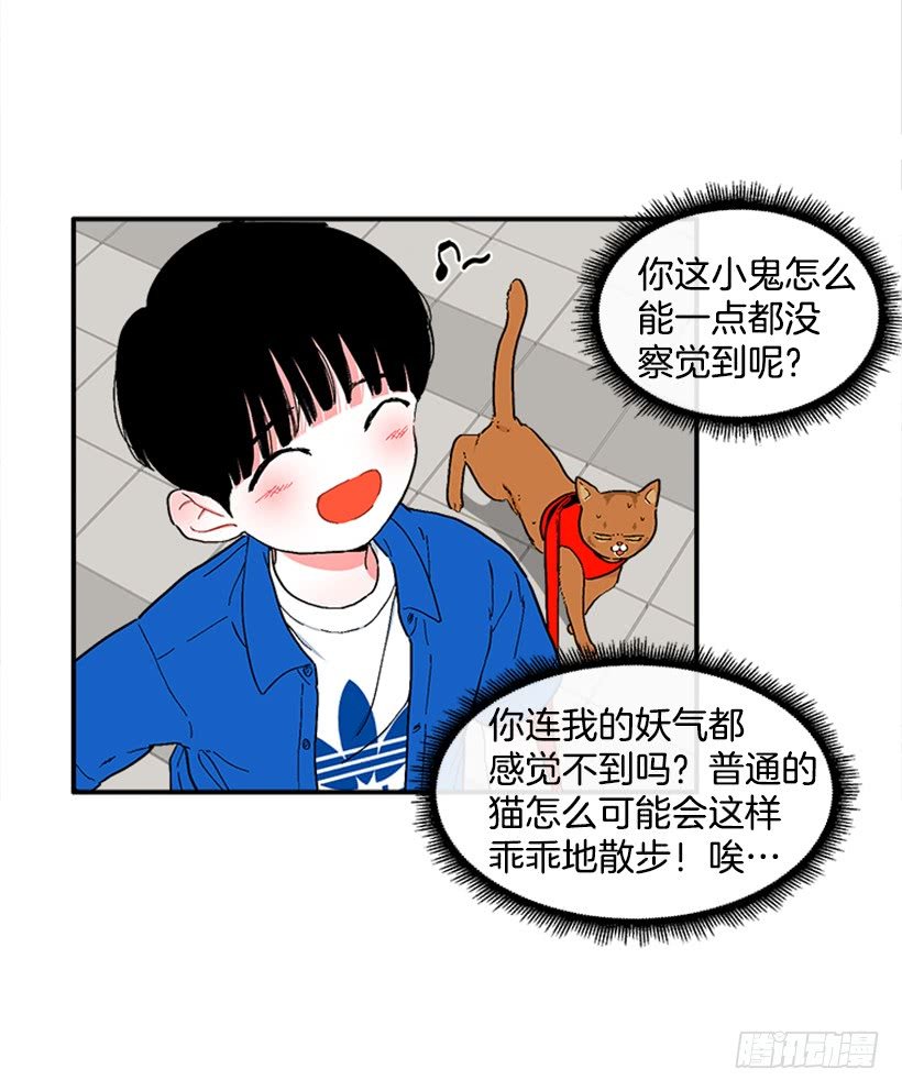 137.大喵
