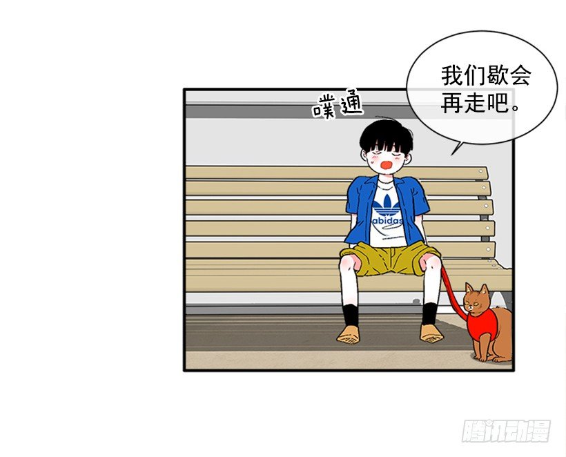 137.大喵