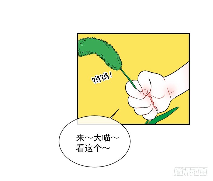 137.大喵