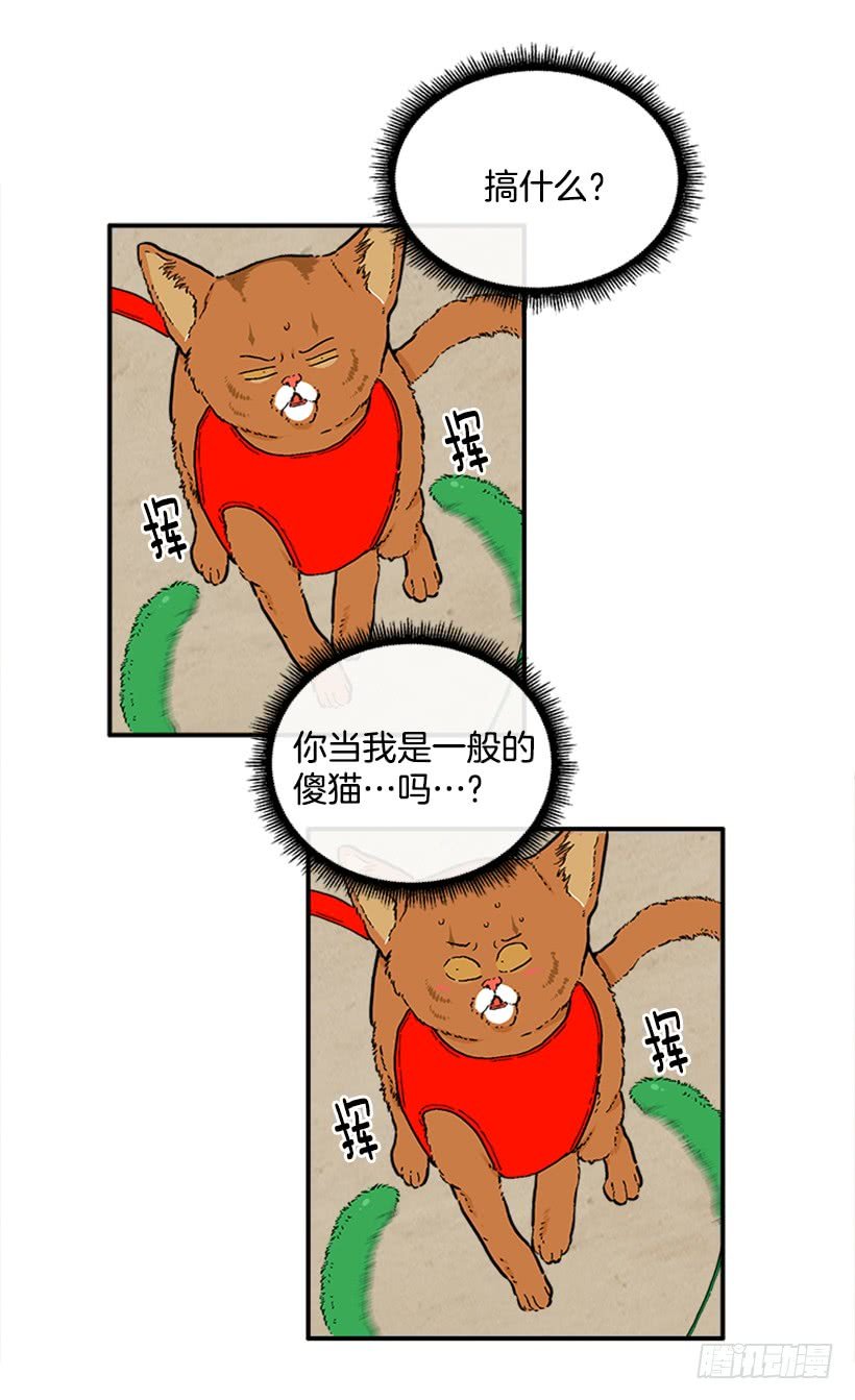137.大喵
