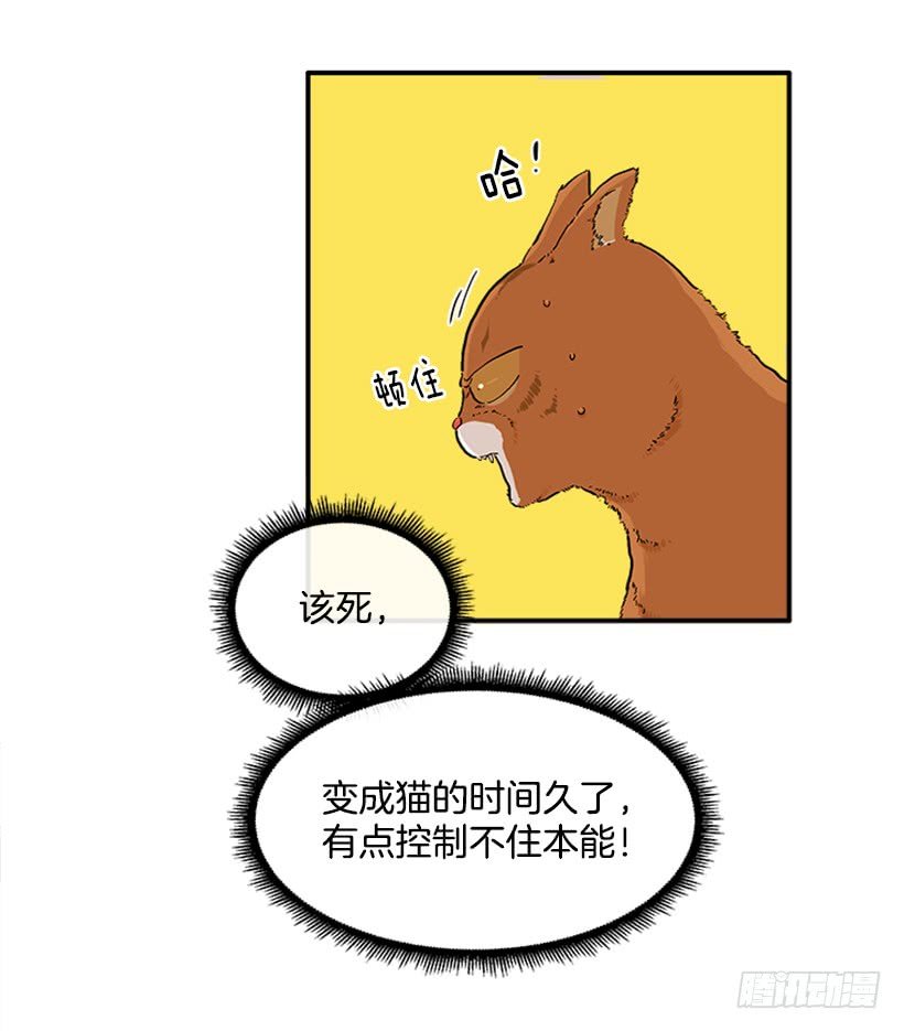 137.大喵