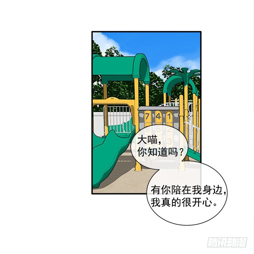 137.大喵