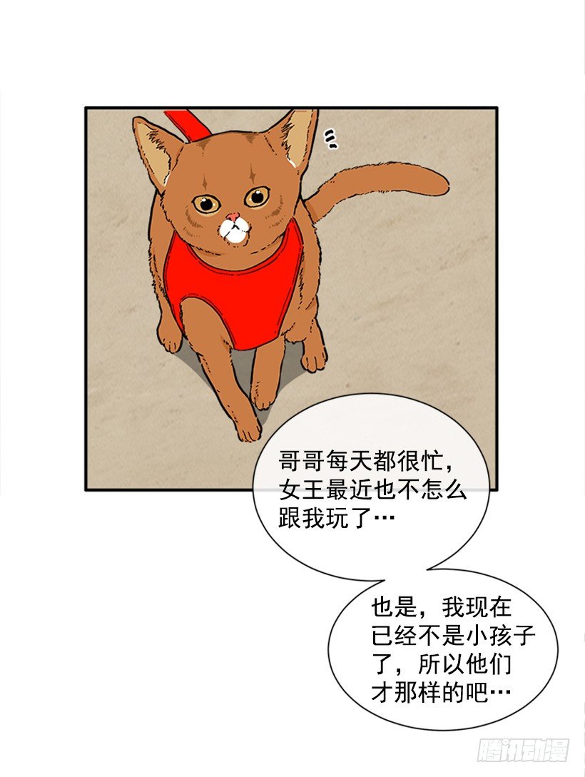 137.大喵