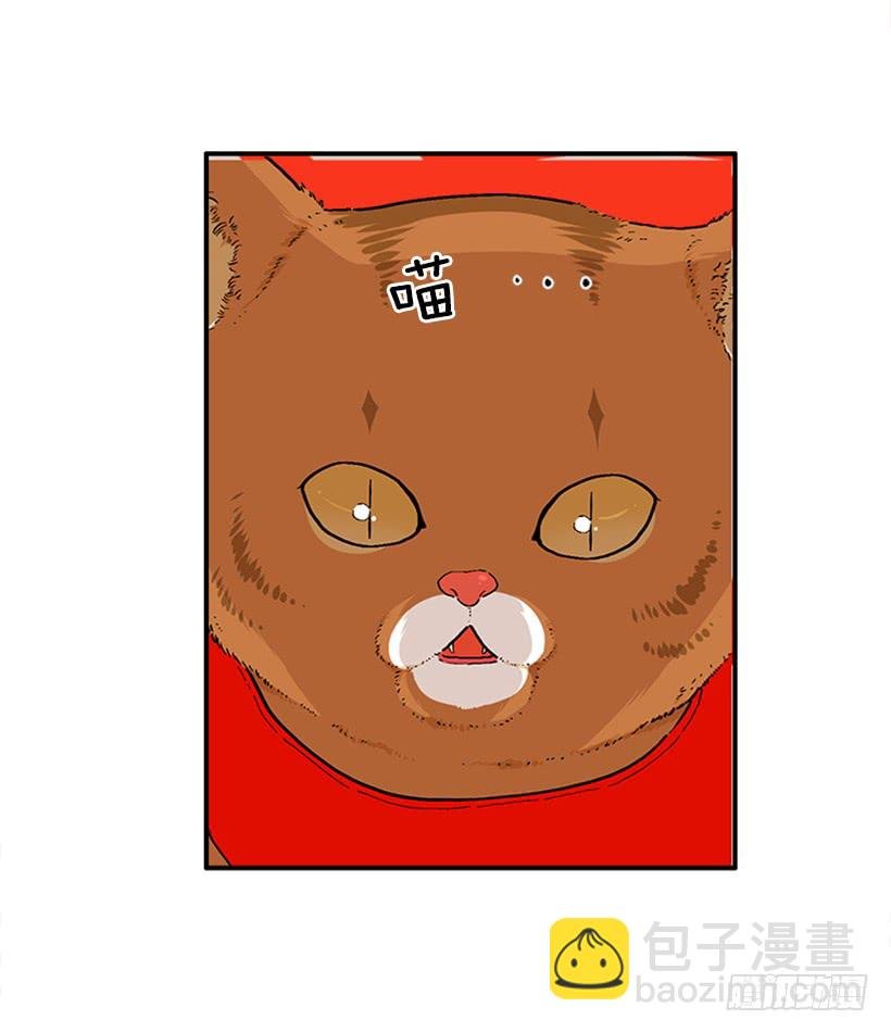138.保护您到最后