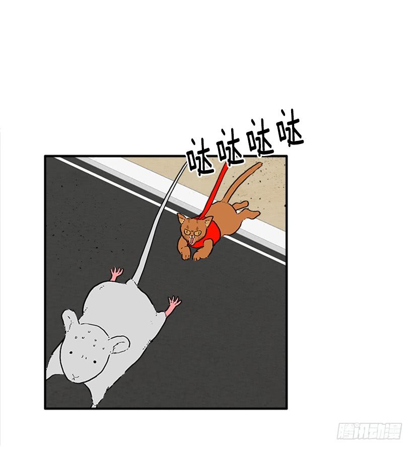 138.保护您到最后