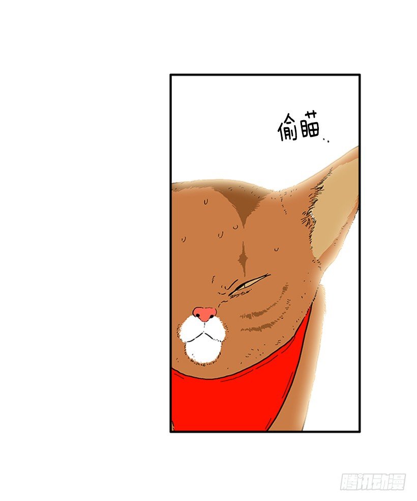 138.保护您到最后