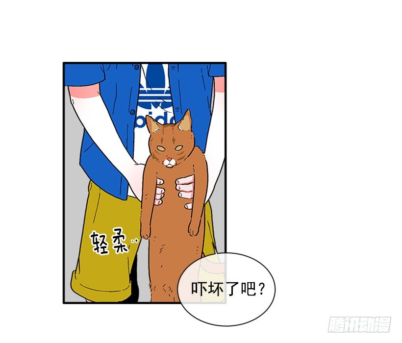 138.保护您到最后