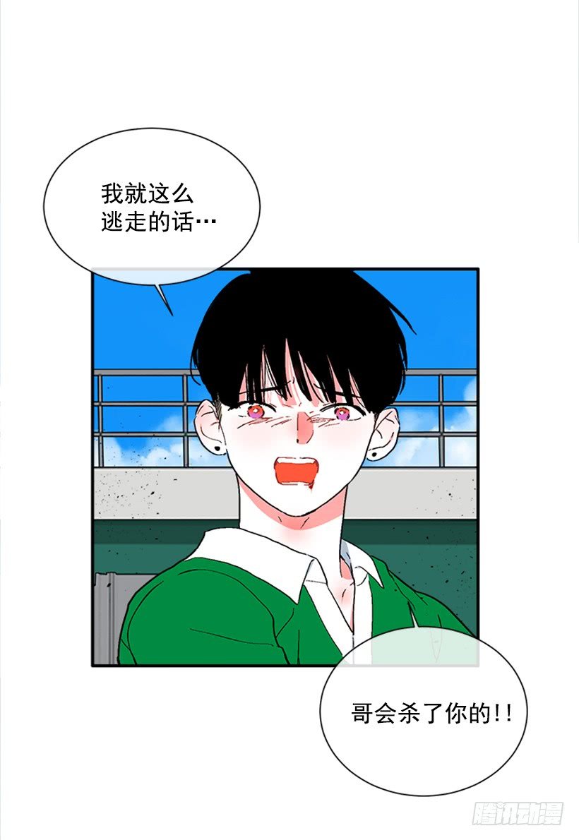 140.消散的大喵