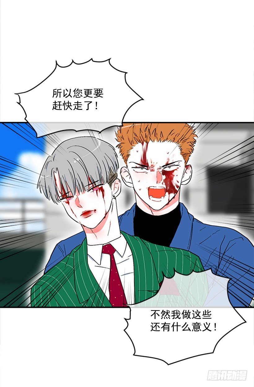 140.消散的大喵