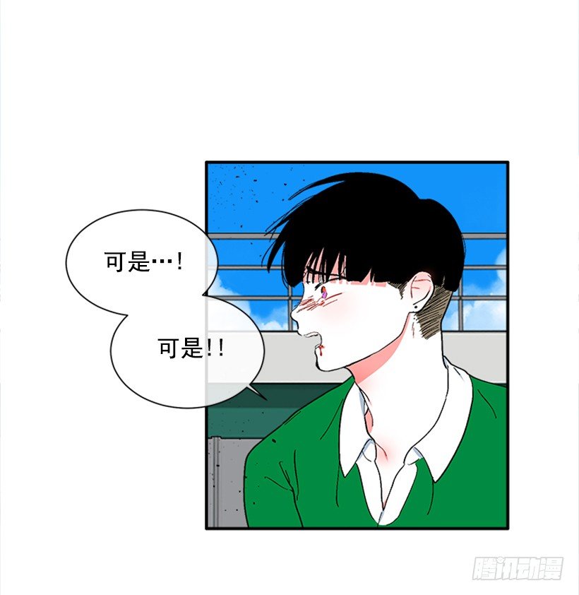 140.消散的大喵