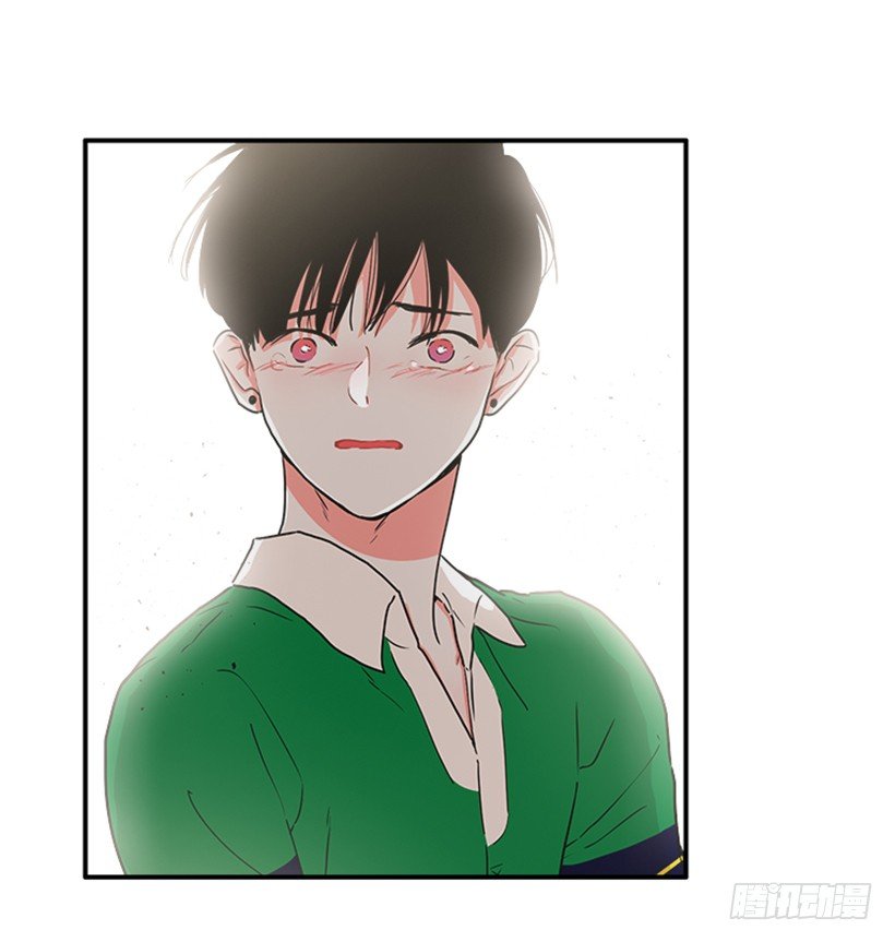140.消散的大喵