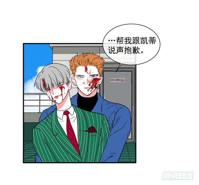 140.消散的大喵