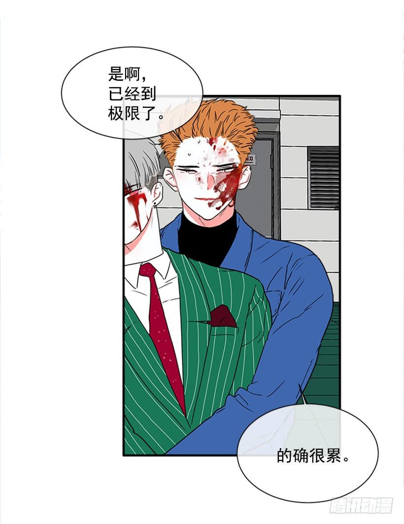140.消散的大喵