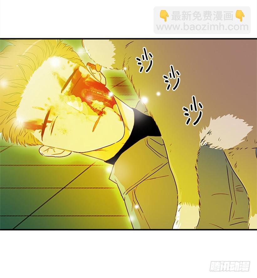 140.消散的大喵