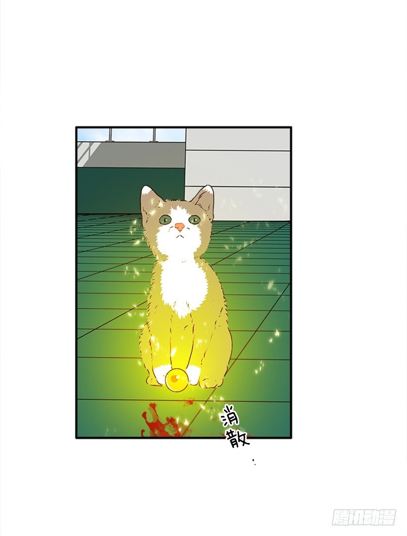 140.消散的大喵