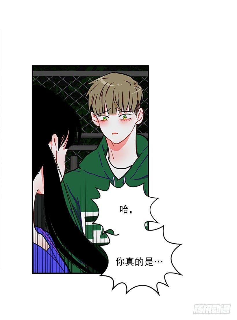 砰砰啪啪