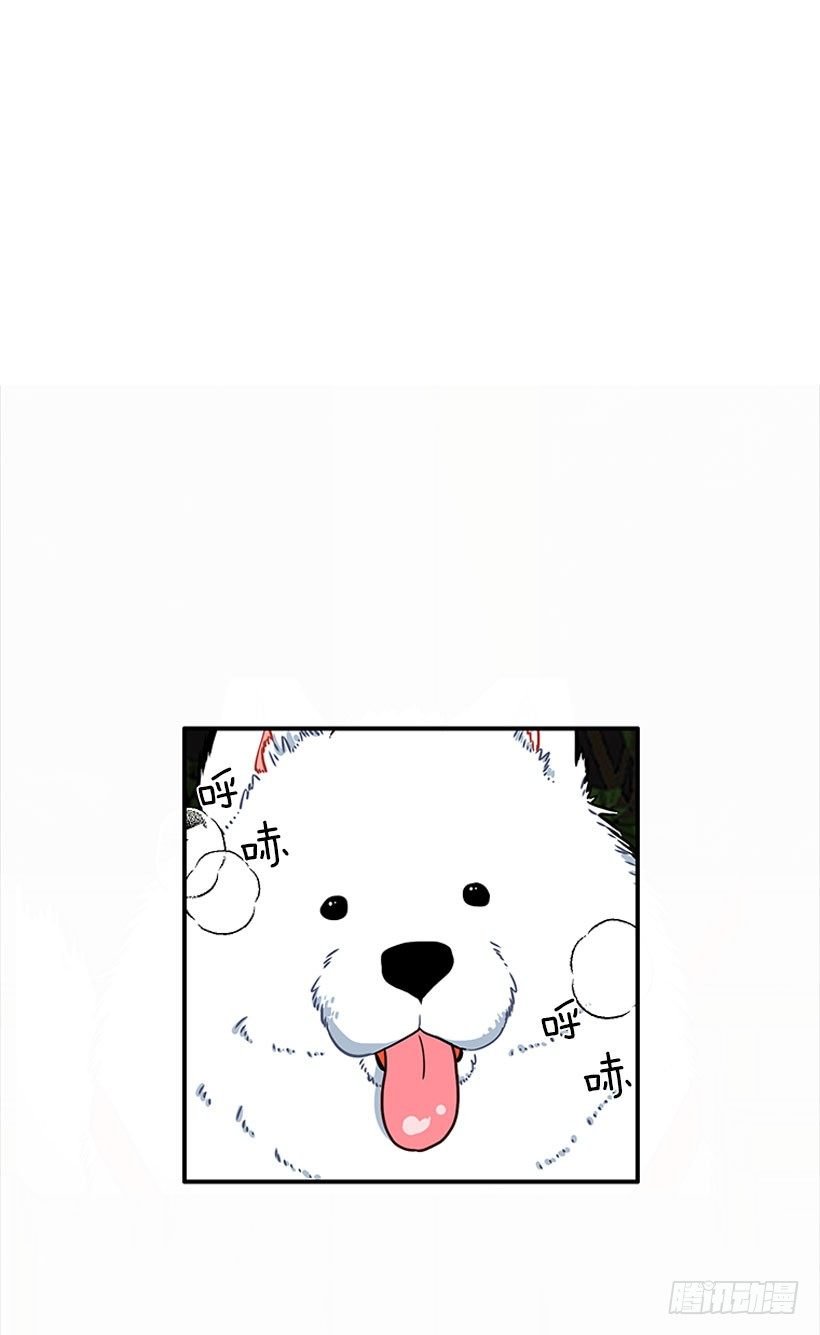 砰砰啪啪