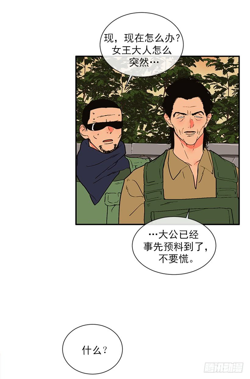 155.勇敢的面对
