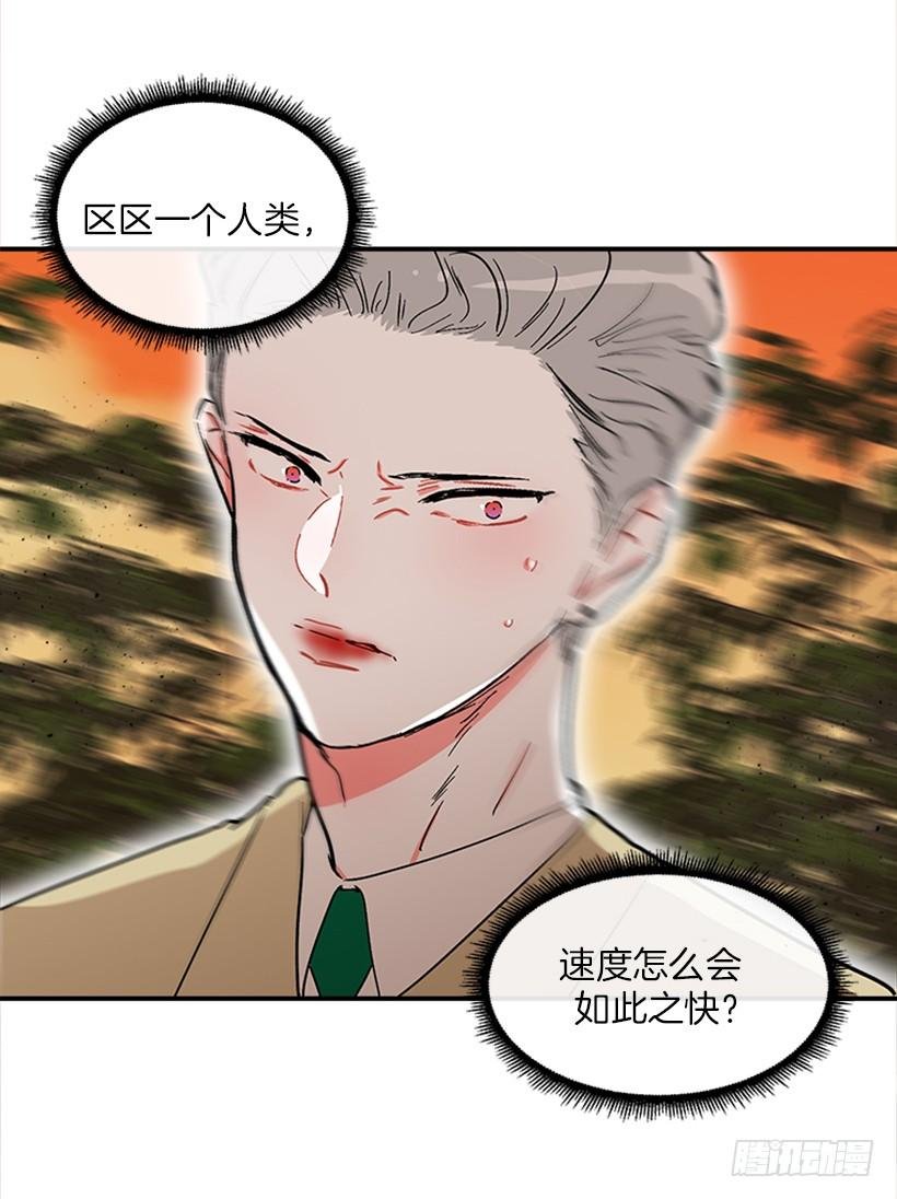158.殊死搏斗