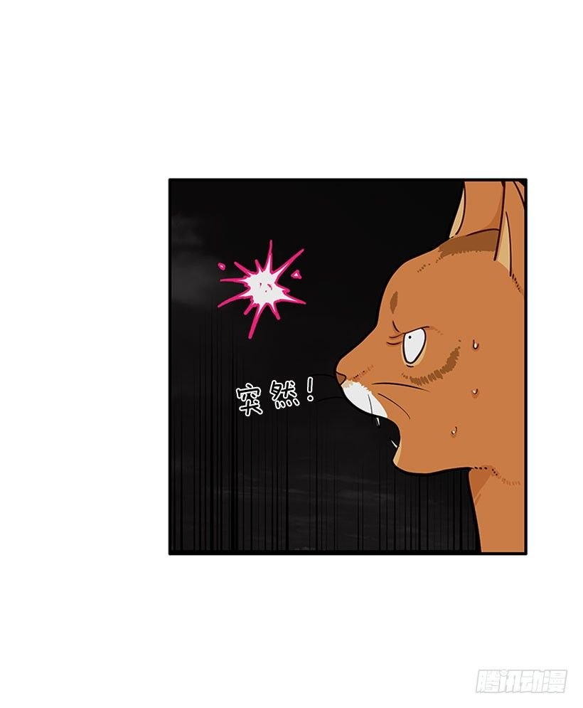 真正的原因