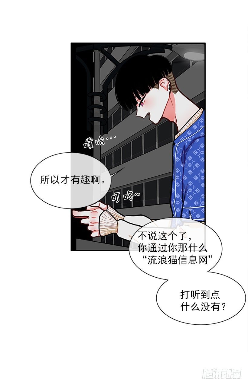 真正的原因