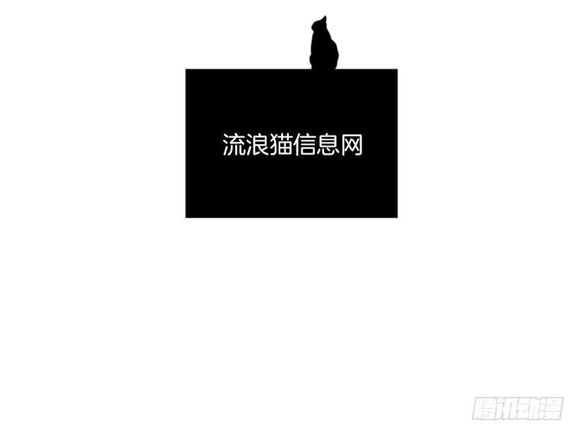 真正的原因