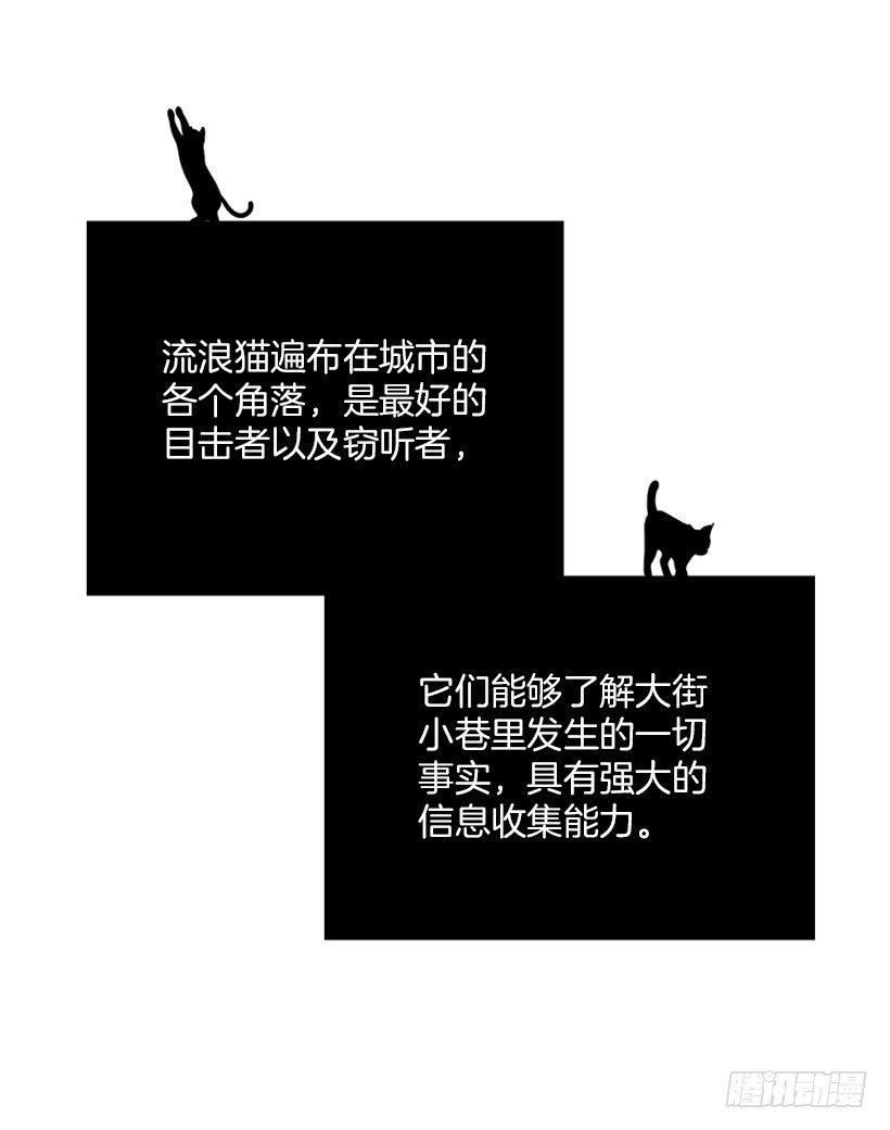 真正的原因