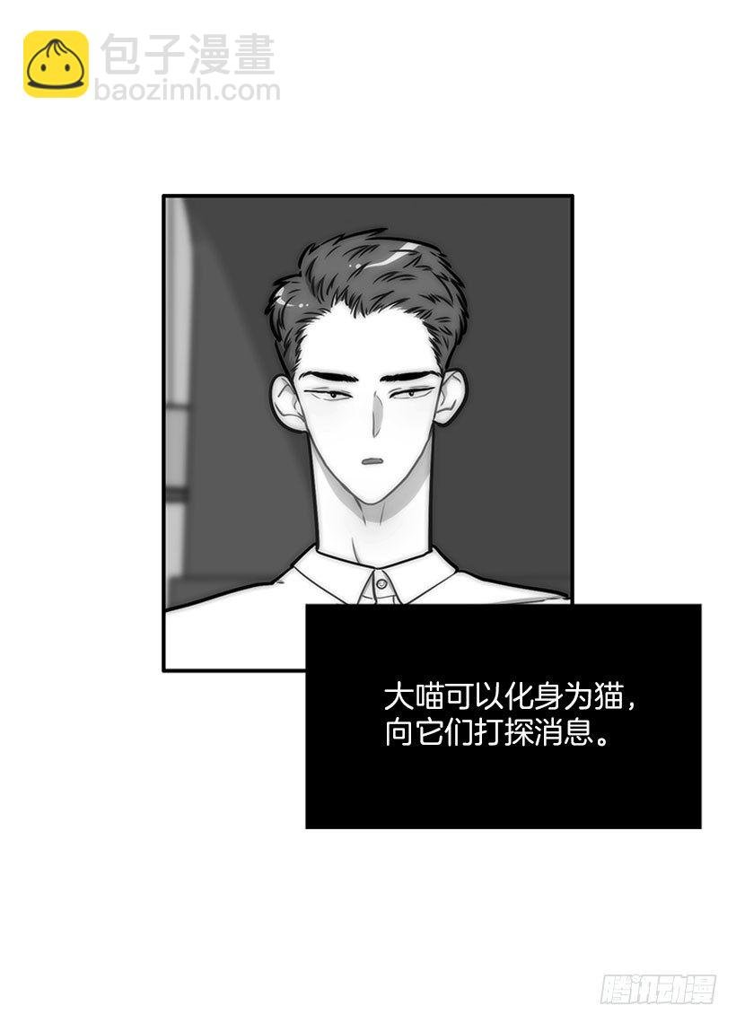 真正的原因