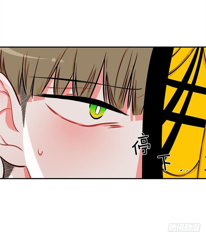 感觉