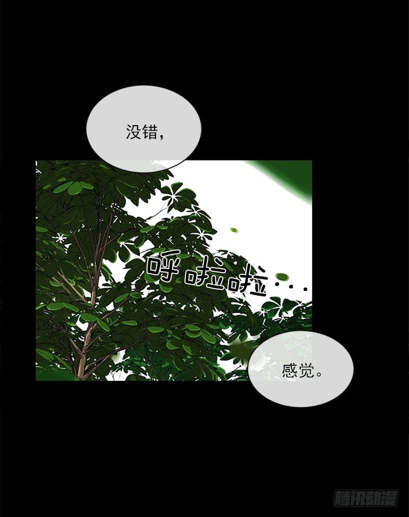 感觉