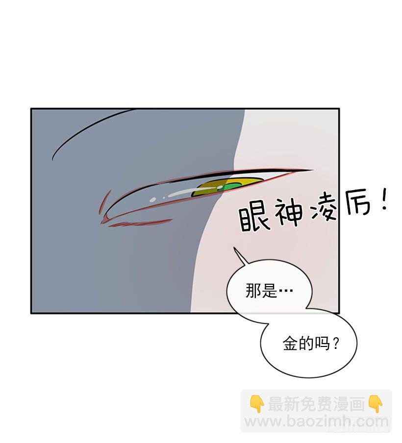 打赌