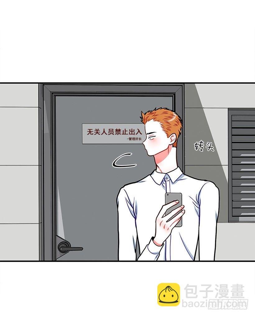 不是人类