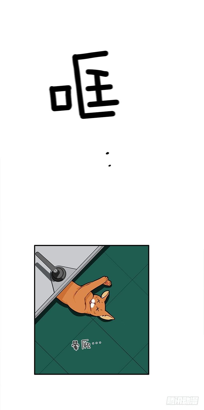 不是人类