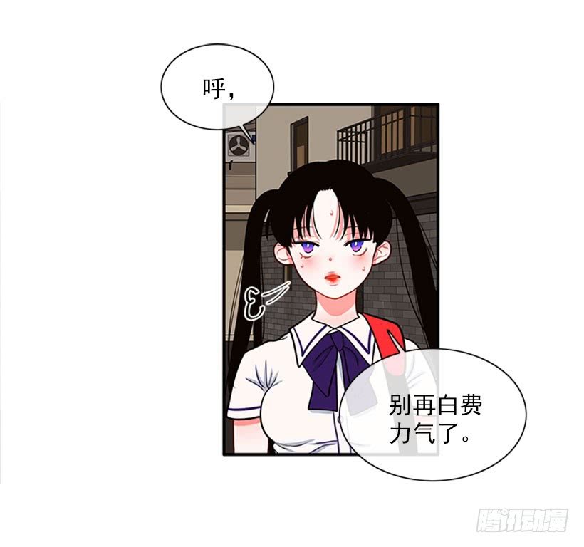 我的猫崽
