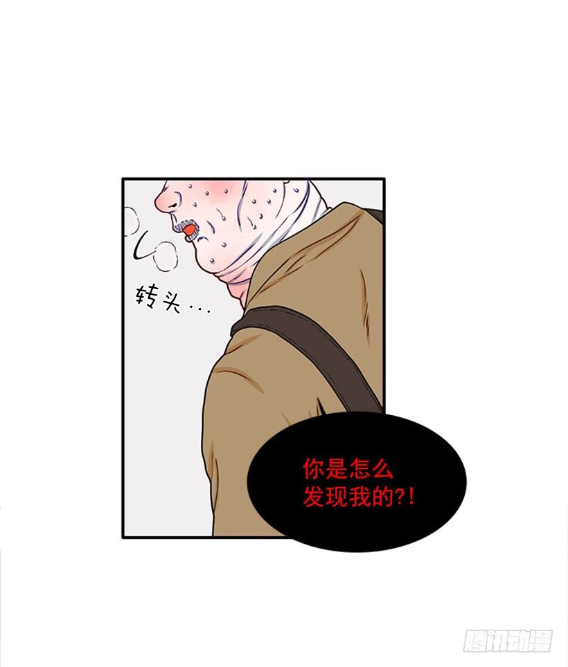 我的猫崽