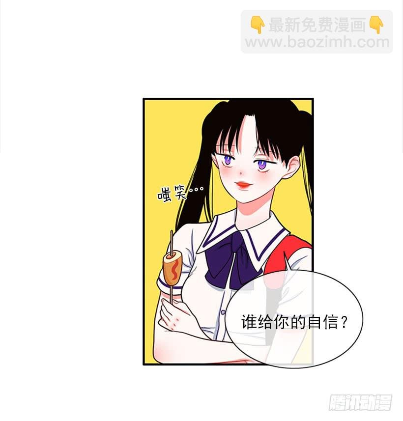 我的猫崽