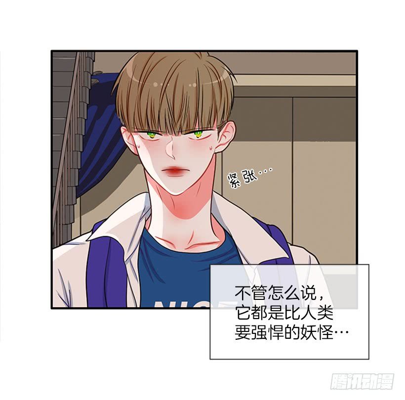 我的猫崽
