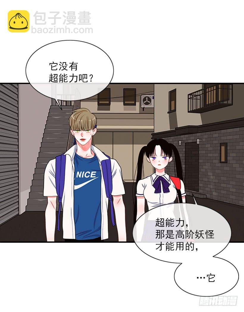 我的猫崽