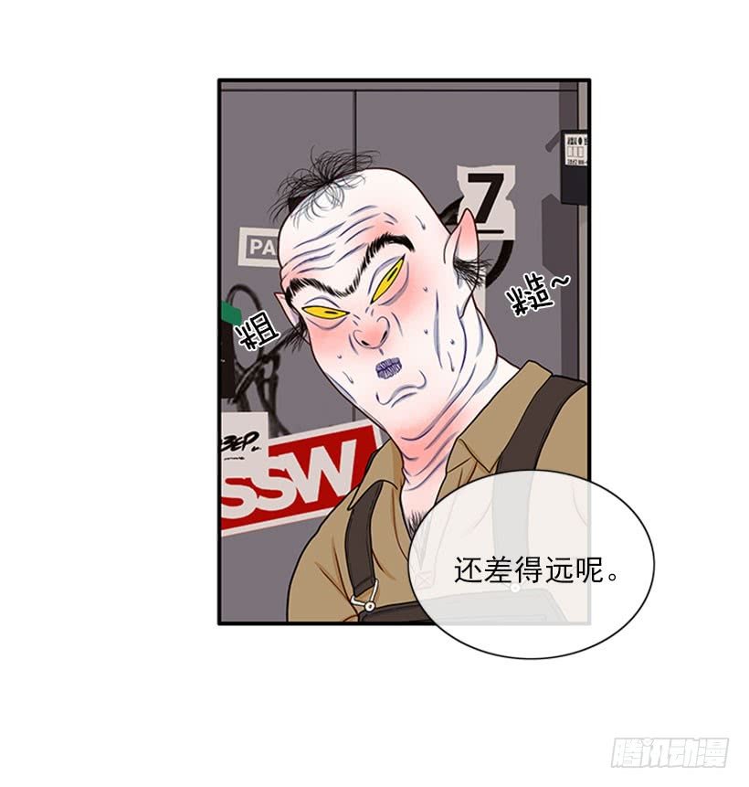 我的猫崽