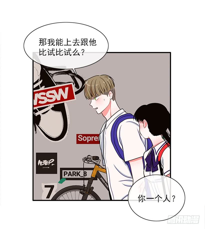 我的猫崽