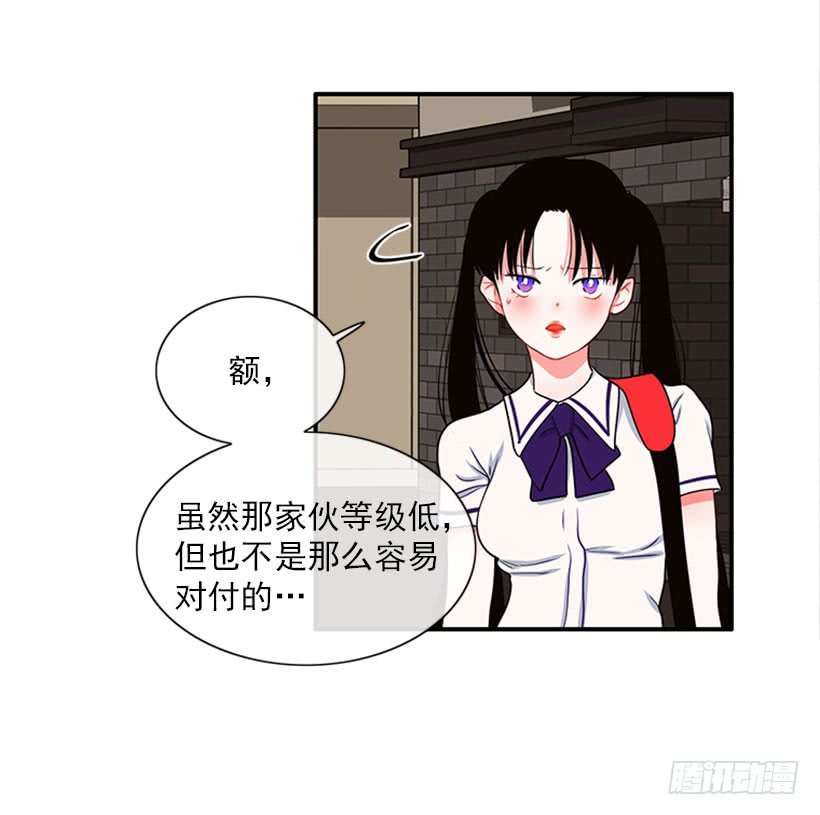 我的猫崽