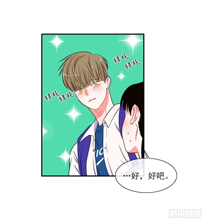 我的猫崽