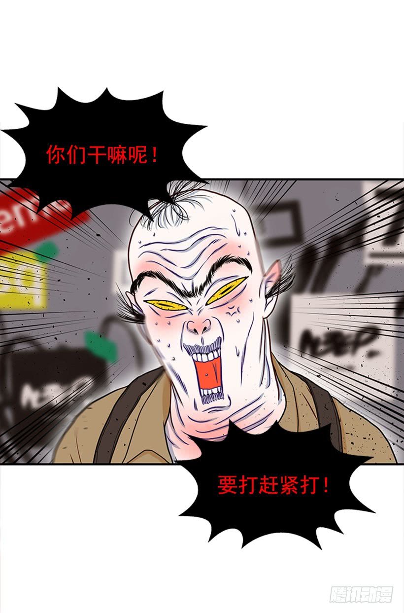 我的猫崽